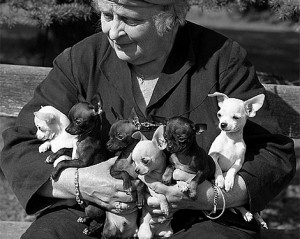 Woman with puppies